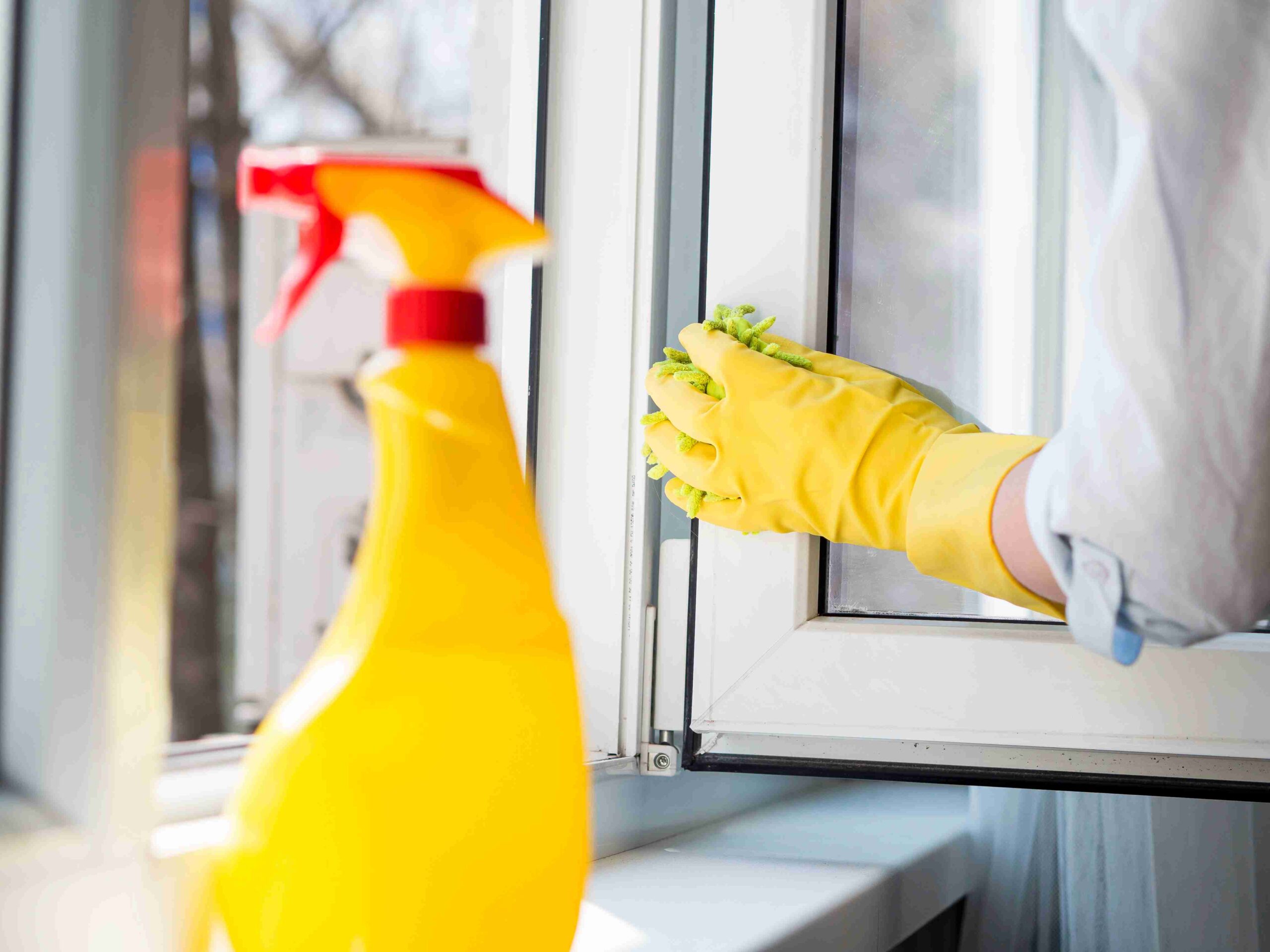Professional Window Cleaner